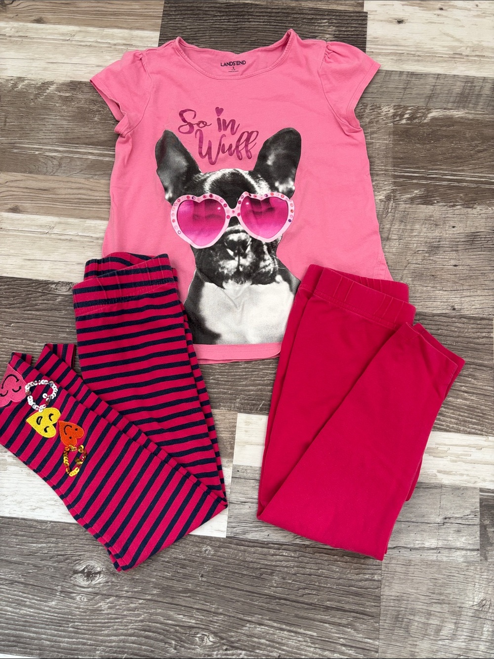 Lands' End Hot Pink Puppy Graphic girls bundle